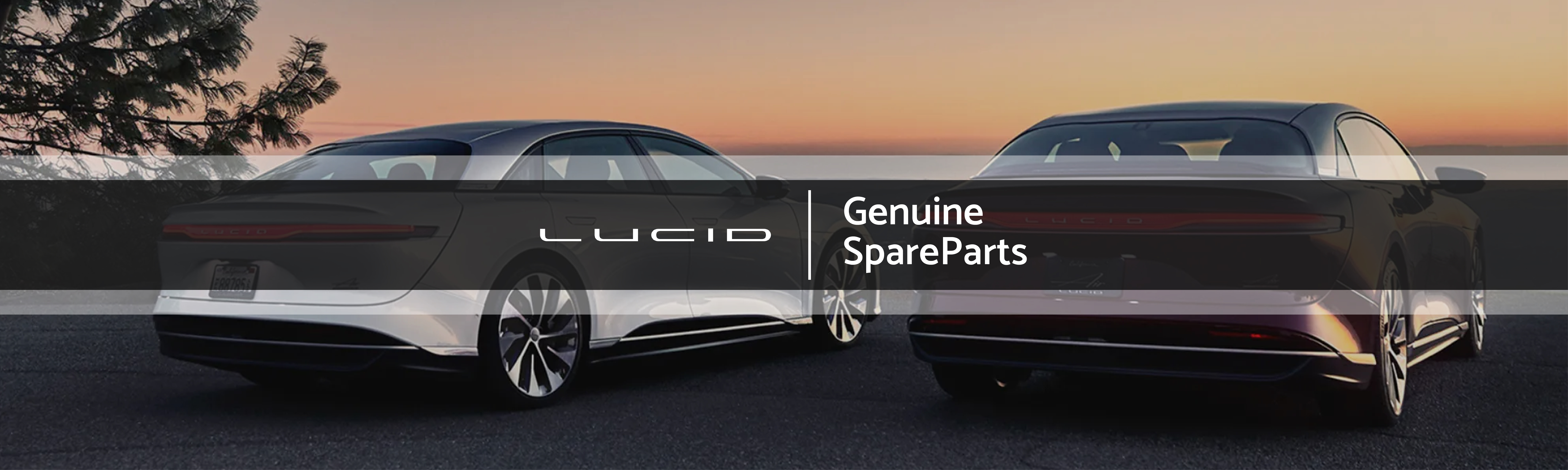 Genuine Lucid Electric Vehicle Parts Supplier In Dubai - UAE